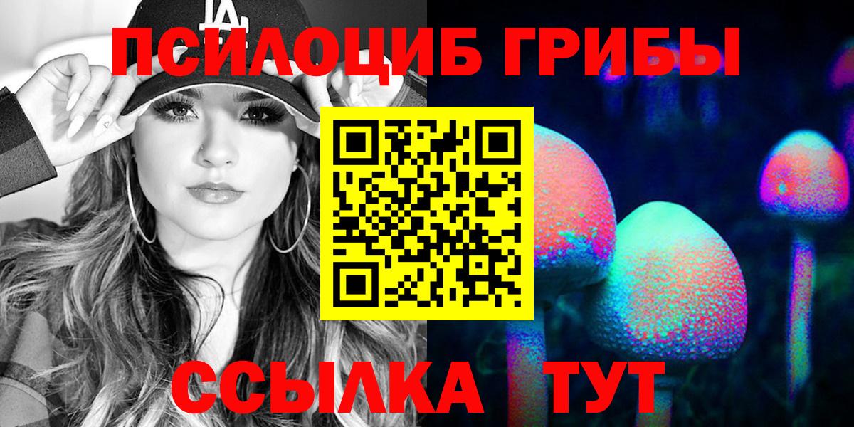 Кольчугино  Псилоцибиновые грибы Psilocybe  Вход с VPN 