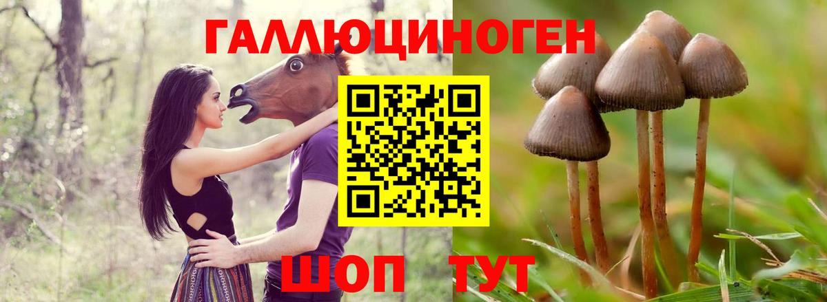 Галлюциногенные грибы MAGIC MUSHROOMS Кольчугино